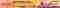 header-iwsa-2025_1850x250.jpg